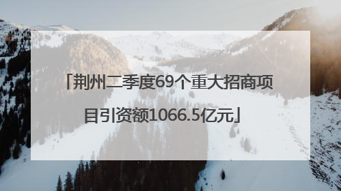 荆州二季度69个重大招商项目引资额1066.5亿元