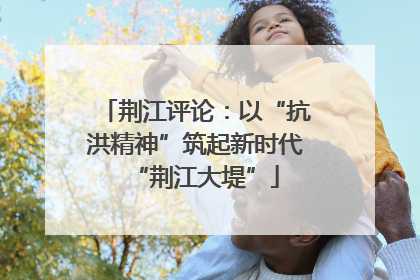荆江评论：以“抗洪精神”筑起新时代“荆江大堤”