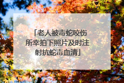 老人被毒蛇咬伤 所幸拍下照片及时注射抗蛇毒血清