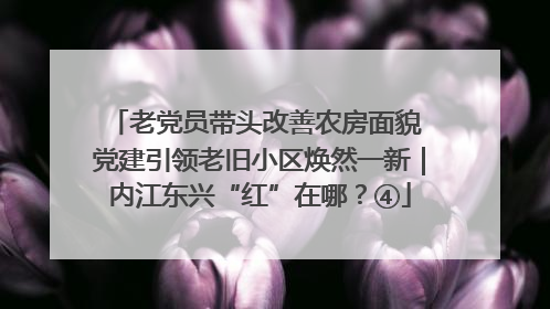 老党员带头改善农房面貌 党建引领老旧小区焕然一新｜内江东兴“红”在哪？④
