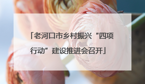 老河口市乡村振兴“四项行动”建设推进会召开