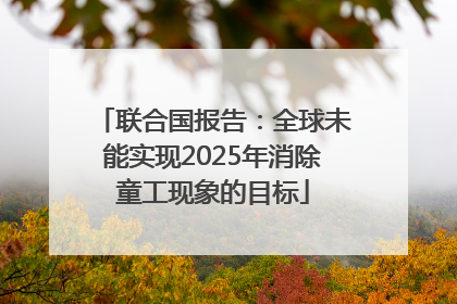 联合国报告：全球未能实现2025年消除童工现象的目标