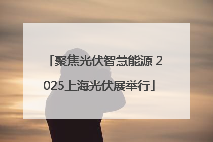 聚焦光伏智慧能源 2025上海光伏展举行