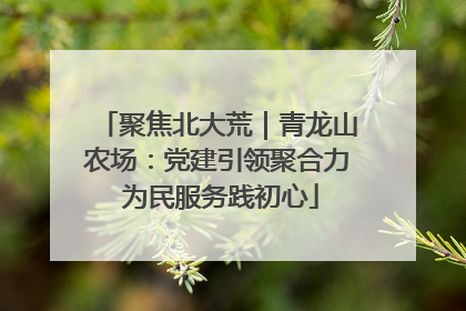 聚焦北大荒｜青龙山农场：党建引领聚合力 为民服务践初心