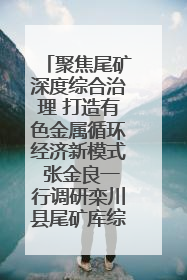 聚焦尾矿深度综合治理 打造有色金属循环经济新模式 张金良一行调研栾川县尾矿库综合治理工作