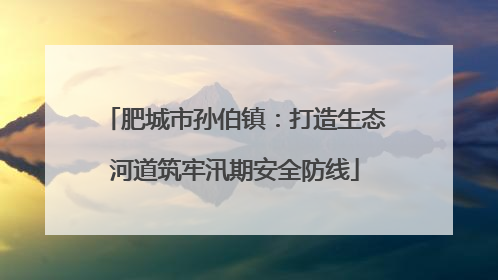 肥城市孙伯镇：打造生态河道筑牢汛期安全防线