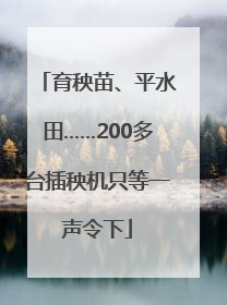 育秧苗、平水田……200多台插秧机只等一声令下