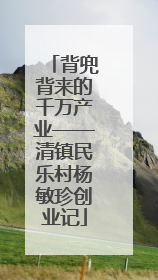 背兜背来的千万产业——清镇民乐村杨敏珍创业记