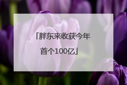 胖东来收获今年首个100亿