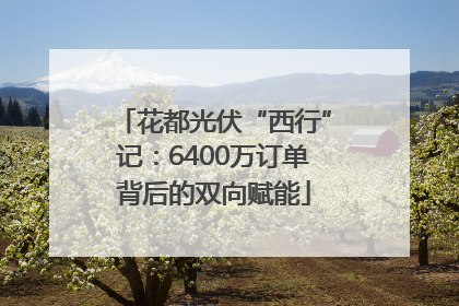 花都光伏“西行”记：6400万订单背后的双向赋能