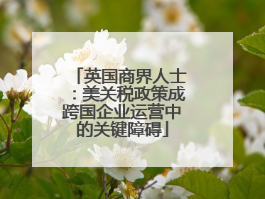 英国商界人士：美关税政策成跨国企业运营中的关键障碍