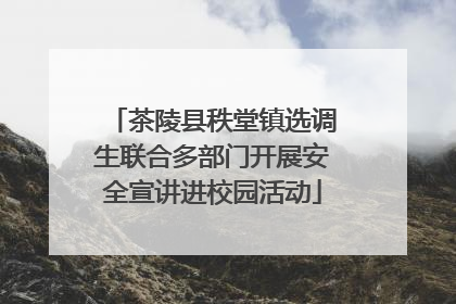 茶陵县秩堂镇选调生联合多部门开展安全宣讲进校园活动