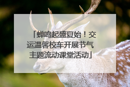蝉鸣起盛夏始！交运温馨校车开展节气主题流动课堂活动