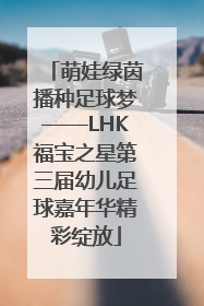萌娃绿茵播种足球梦——LHK福宝之星第三届幼儿足球嘉年华精彩绽放