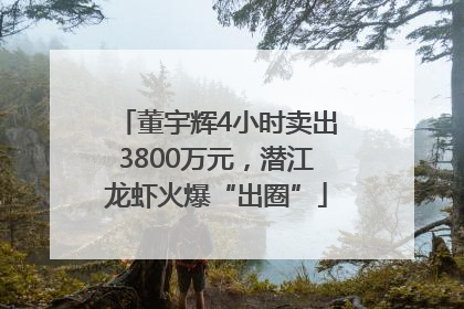 董宇辉4小时卖出3800万元，潜江龙虾火爆“出圈”