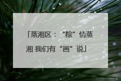 蒸湘区：“粽”情蒸湘 我们有“画”说
