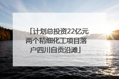 计划总投资22亿元 两个精细化工项目落户四川自贡沿滩