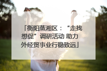 衡阳蒸湘区：“走找想促”调研活动 助力外经贸事业行稳致远