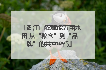 衢江山农赋能万亩水田 从“粮仓”到“品牌”的共富密码
