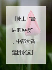 补上“最后的短板”，中部大省猛拼水运