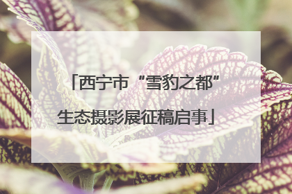 西宁市“雪豹之都”生态摄影展征稿启事
