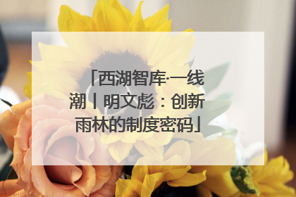西湖智库·一线潮丨明文彪：创新雨林的制度密码