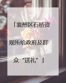 襄州区石桥资规所给政府及群众“送礼”