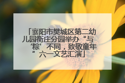 襄阳市樊城区第二幼儿园衡庄分园举办“与‘粽’不同，致敬童年”六一文艺汇演