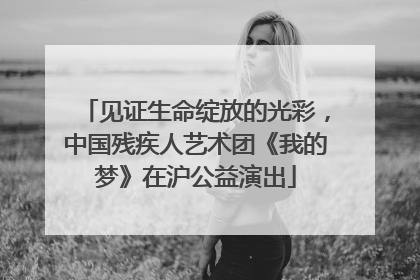 见证生命绽放的光彩，中国残疾人艺术团《我的梦》在沪公益演出