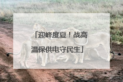 迎峰度夏！战高温保供电守民生