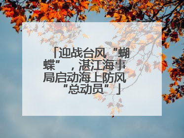 迎战台风“蝴蝶”，湛江海事局启动海上防风“总动员”