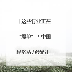 这些行业正在“爆单”！中国经济活力密码