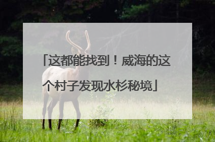 这都能找到！威海的这个村子发现水杉秘境