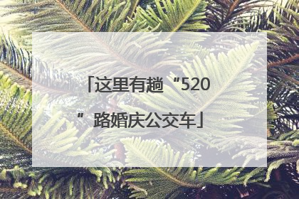 这里有趟“520”路婚庆公交车