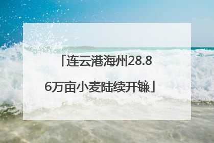 连云港海州28.86万亩小麦陆续开镰