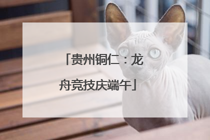 贵州铜仁：龙舟竞技庆端午