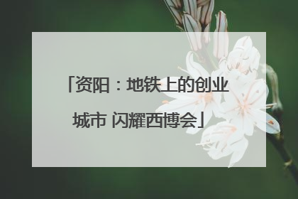 资阳：地铁上的创业城市 闪耀西博会