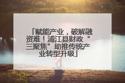 赋能产业，破解融资难！浦江县财政“三聚焦”助推传统产业转型升级