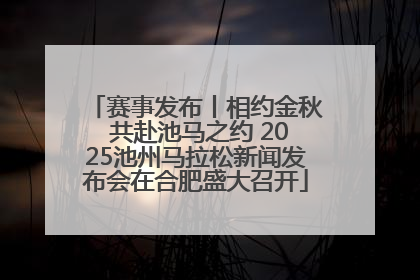 赛事发布丨相约金秋 共赴池马之约 2025池州马拉松新闻发布会在合肥盛大召开