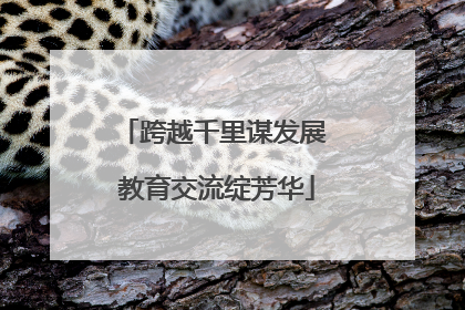跨越千里谋发展 教育交流绽芳华