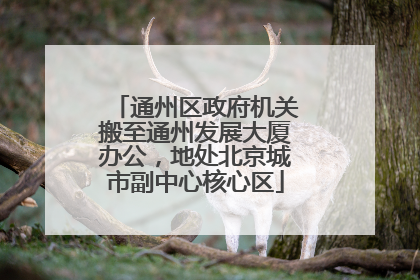通州区政府机关搬至通州发展大厦办公，地处北京城市副中心核心区