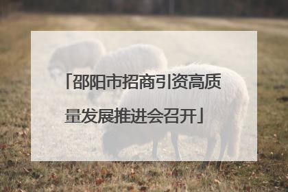 邵阳市招商引资高质量发展推进会召开