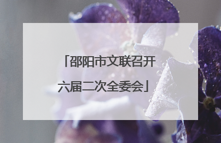 邵阳市文联召开六届二次全委会