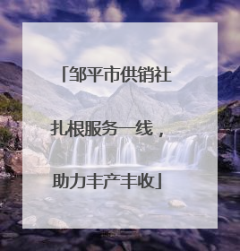 邹平市供销社扎根服务一线，助力丰产丰收