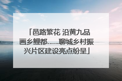 邑路繁花 沿黄九品 画乡鲤都……聊城乡村振兴片区建设亮点纷呈