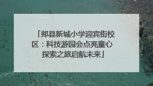 郏县新城小学迎宾街校区：科技游园会点亮童心 探索之旅启航未来
