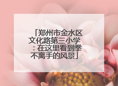郑州市金水区文化路第三小学：在这里看到拳不离手的风景