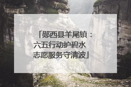 郧西县羊尾镇：六五行动护碧水 志愿服务守清波
