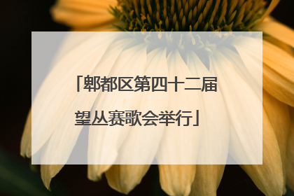 郫都区第四十二届望丛赛歌会举行