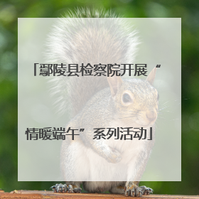 鄢陵县检察院开展“情暖端午”系列活动